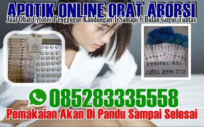 Jual Obat Aborsi Pringsewu 085283335558 Klinik Jual Cytotec Di Pringsewu